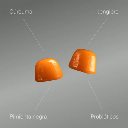 Cúrcuma Ecológica con Jengibre, Pimienta Negra y Probióticos